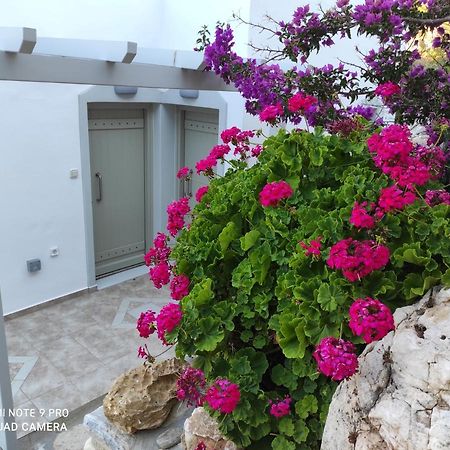 Villa Delfinaki Lionas Exteriér fotografie