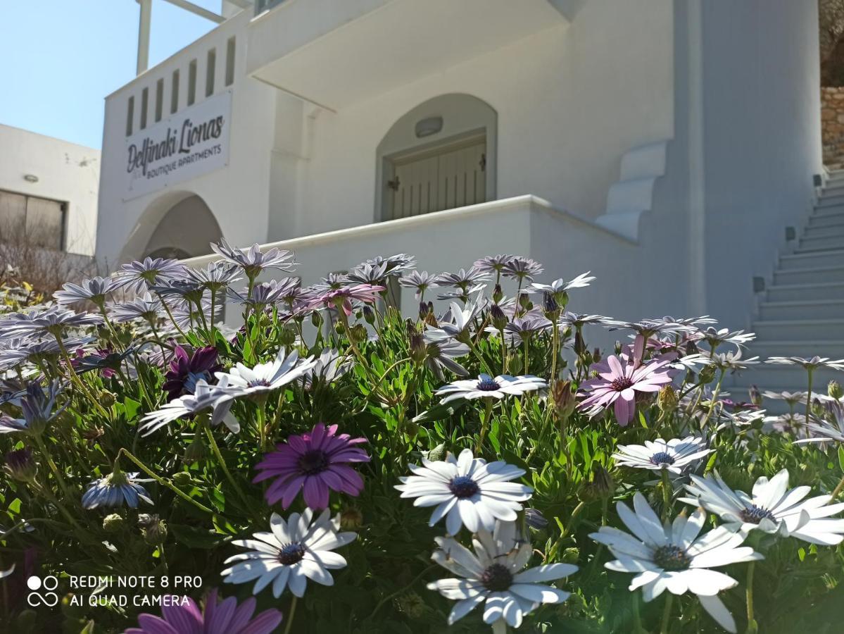 Villa Delfinaki Lionas Exteriér fotografie