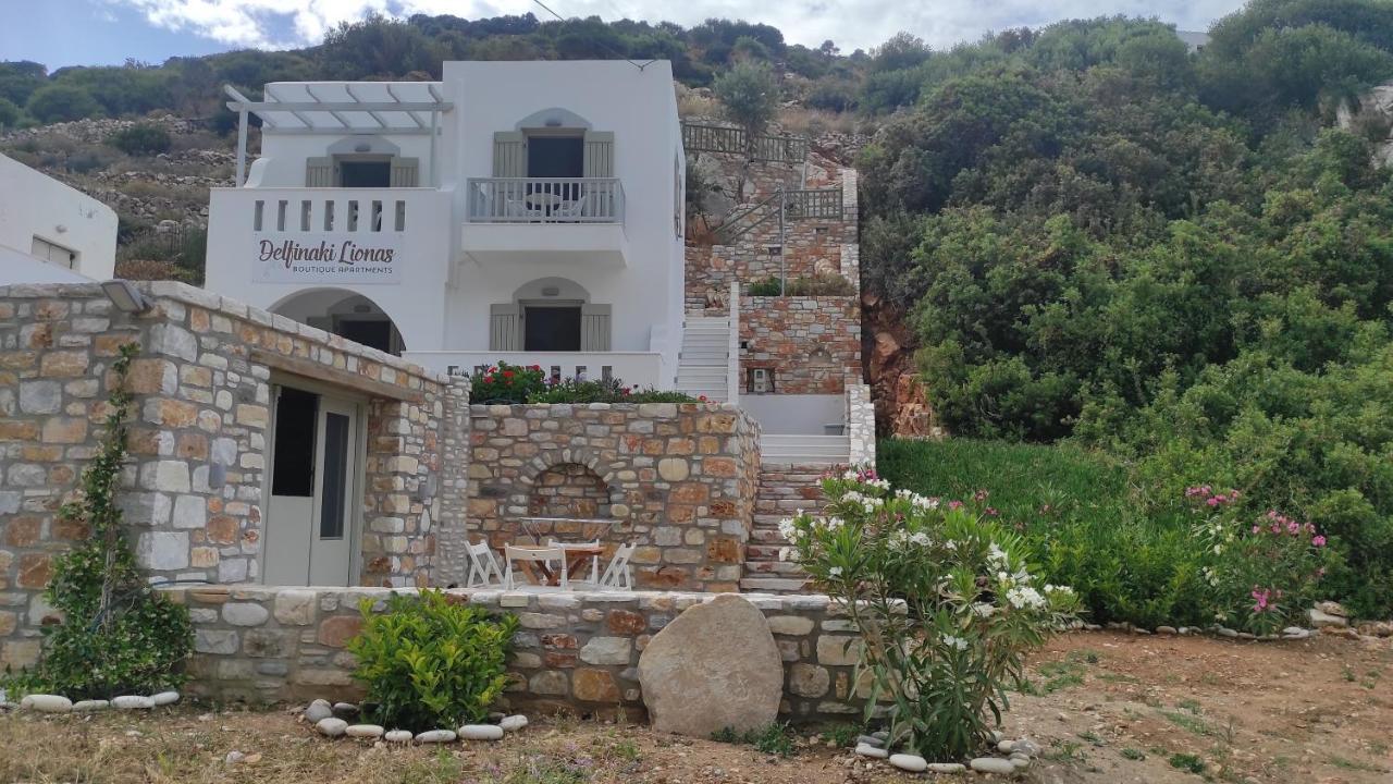 Villa Delfinaki Lionas Exteriér fotografie