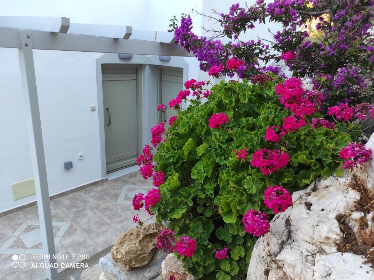 Villa Delfinaki Lionas Exteriér fotografie
